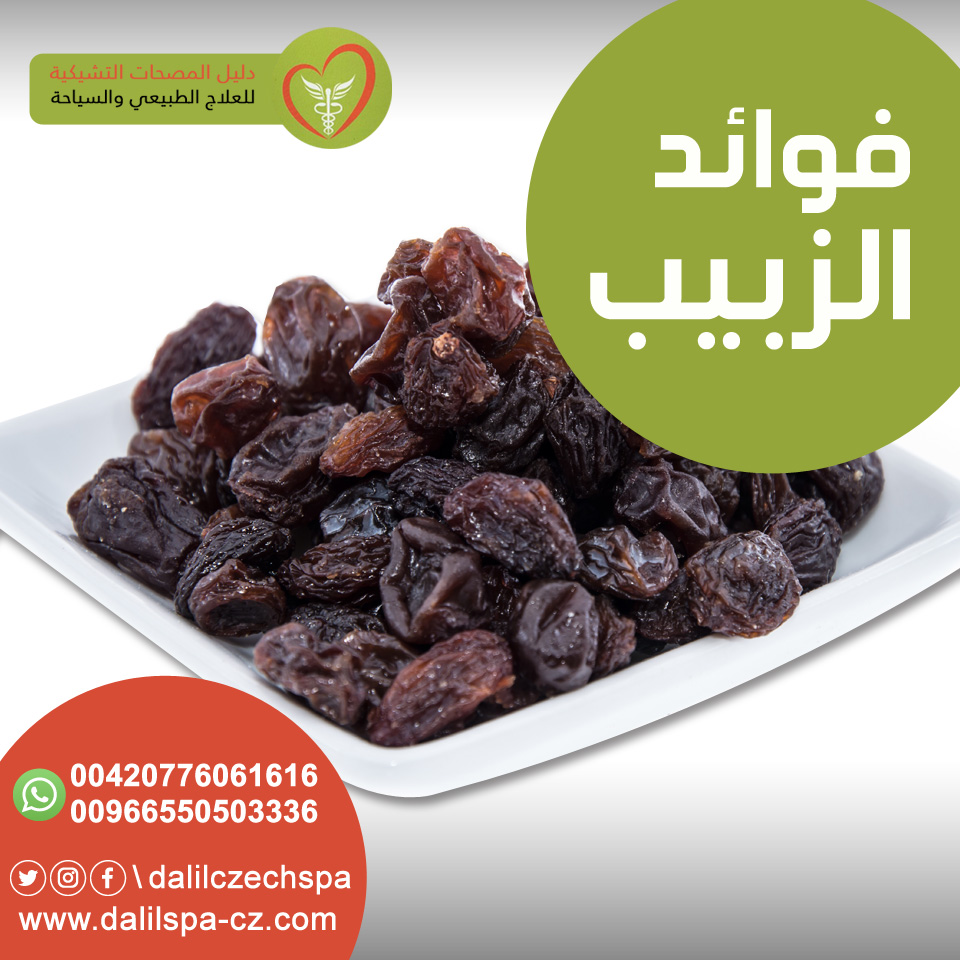 فوائد الزبيب