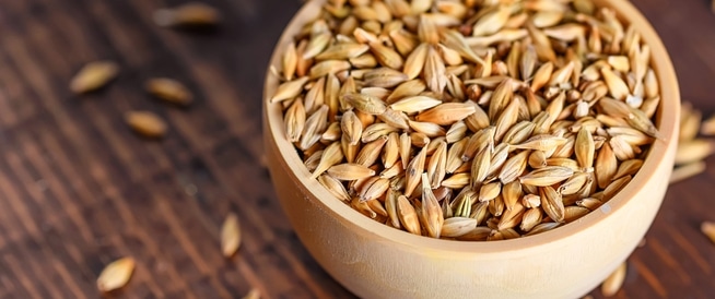 فوائد الشعير