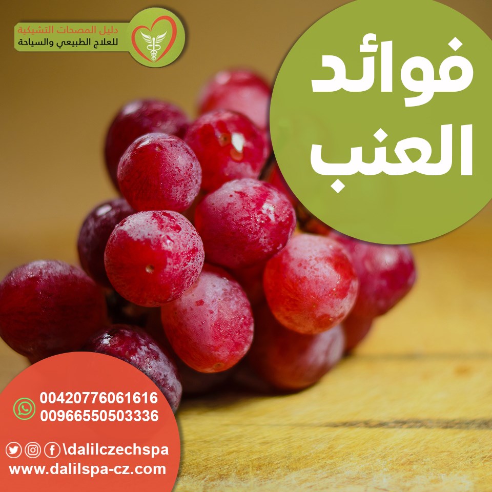 فوائد العنب 