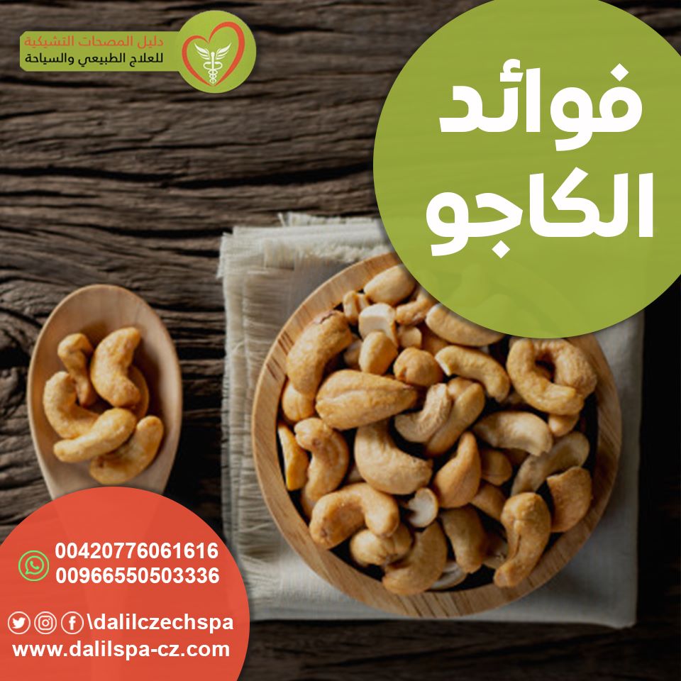 فوائد الكاجو